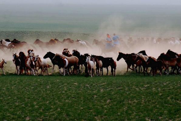 蒙古国十大不可错过景色排行榜 戈壁沙漠上榜，第九是蒙古最大的寺庙插图5