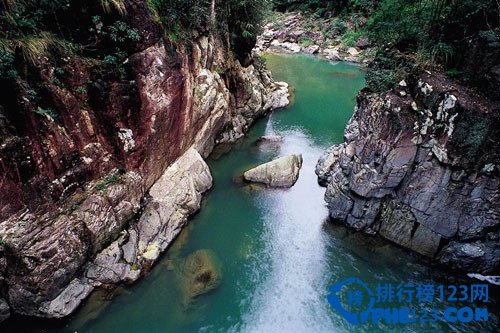 广东十大最美森林插图6