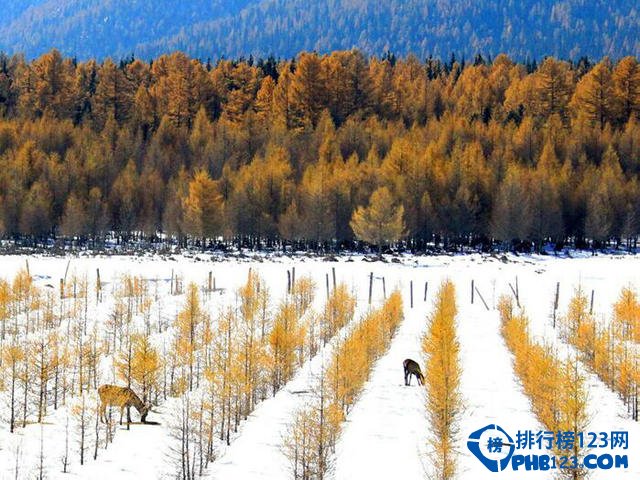 国内初冬雪景最美的十大旅游地排行榜插图5
