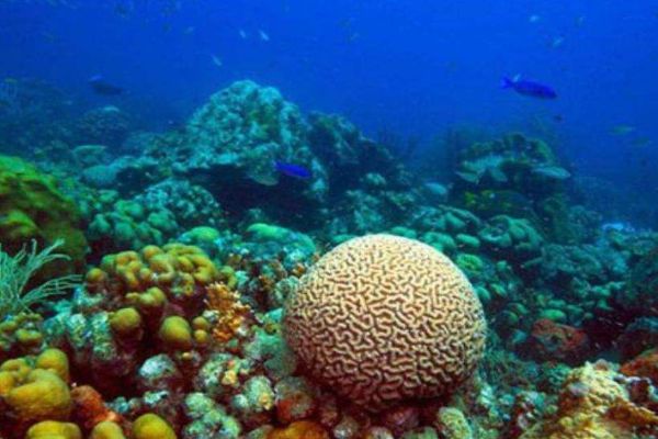 广东十大顶级仙境 这些美丽的地方你都去过吗插图9