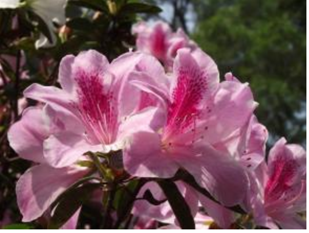 情侣不能去的十大地方 恋人不能去的分手圣地插图3