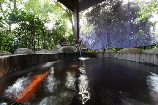 浙江十大温泉排行榜：宁海森林温泉上榜，第七女性最爱插图