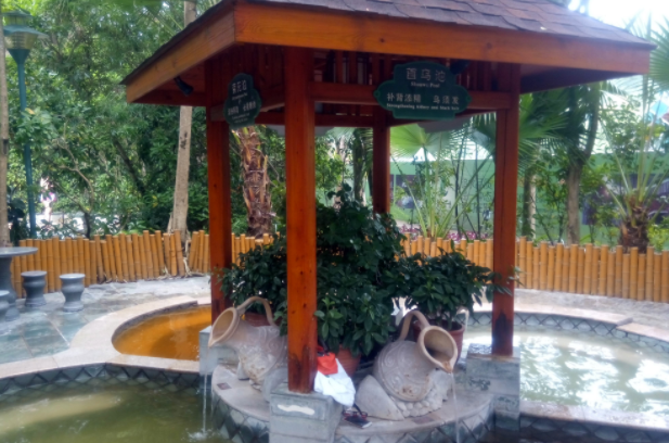 从化十大温泉排行榜：仙沐园温泉上榜，你去过没插图7