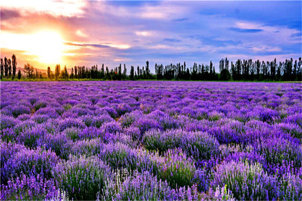 伊犁十大旅游景点：圣佑庙上榜，第七落日最美插图4