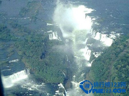 世界上最古老的十大原始森林排行榜插图2