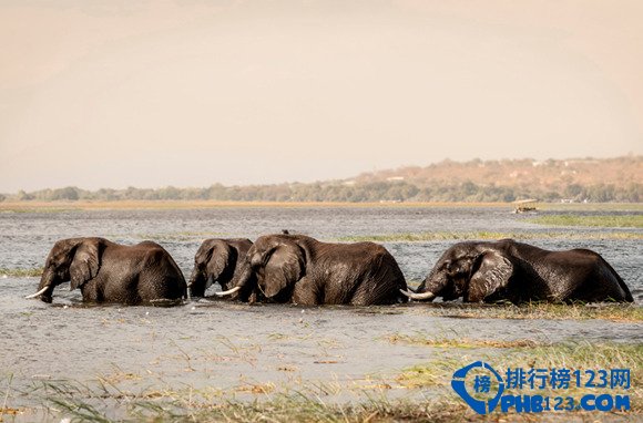 世界10大名河排行榜插图6