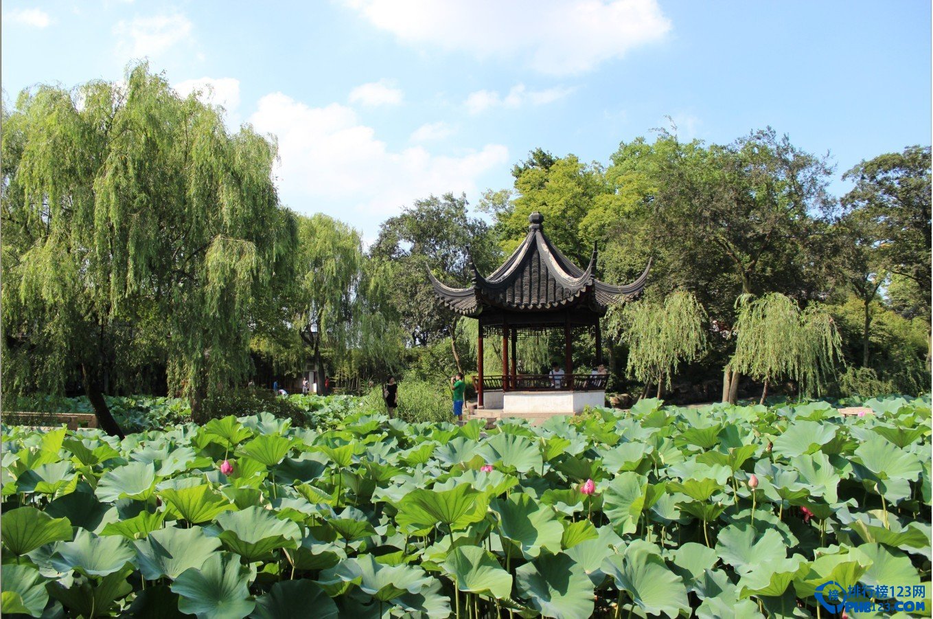 我国的四大名园排行榜插图2