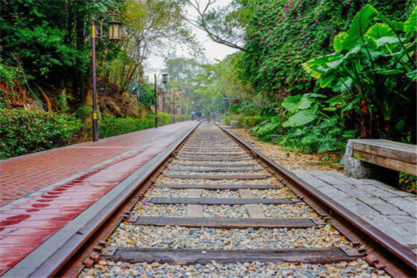厦门九大网红景点排名：环岛路上榜，第三老铁路改造插图2