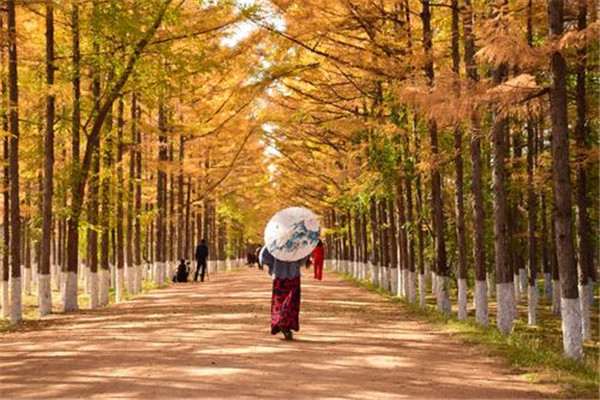 长春十大最美景点：胜利公园上榜，第六胜似江南插图8