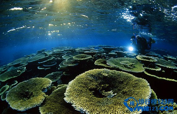 盘点全球十大不为人知的神秘岛屿插图7