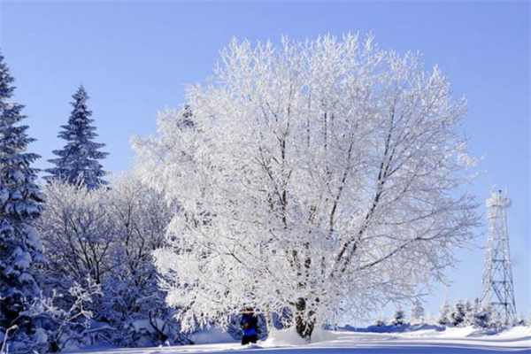 中国十大最美雾凇观赏地：衡山上榜，第六是天鹅栖息地插图3