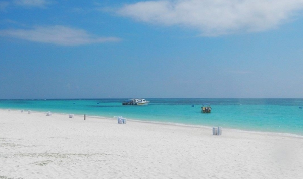 马来西亚必玩的十大景点,美食风土人情一网打尽插图7