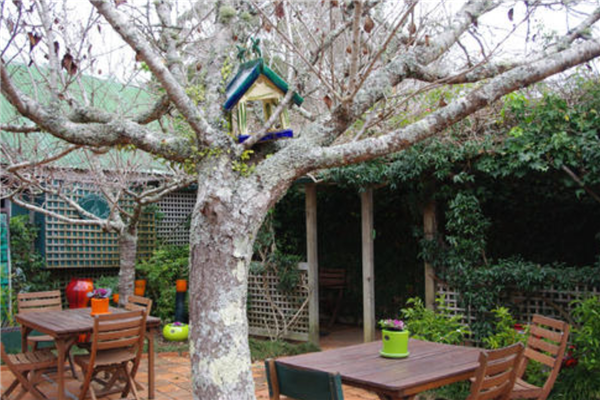 新西兰消费最便宜的5个小镇 怀普风光优美图朗伊适合垂钓插图3