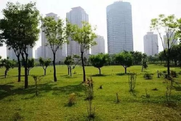 郑州市十大公园排名：之林公园第七，第八历史最悠久插图6