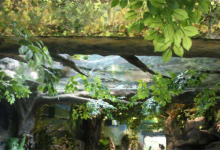 太原十大最好玩的景点：食品街上榜，第七是煤炭博物馆|爱分享