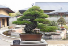 世界十大植物博物馆：纽约植物园上榜，它珍藏植物标本最多|爱分享