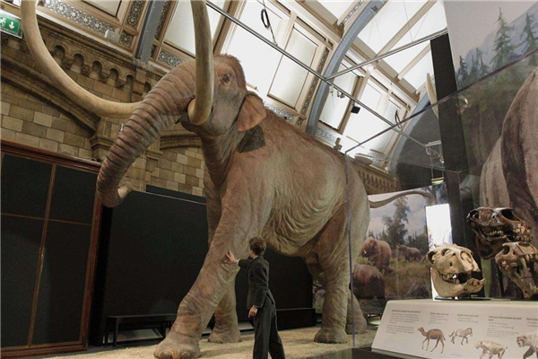 2020英国最受欢迎的景点排名 伦敦眼与伦敦塔都是地标建筑插图1