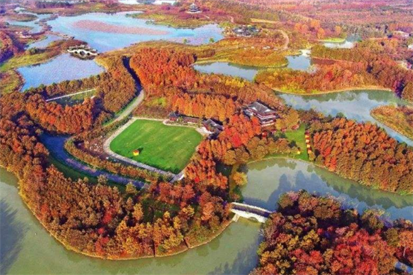 上海十大冬季旅游好去处：豫园上榜，它是动物的美丽家园插图7