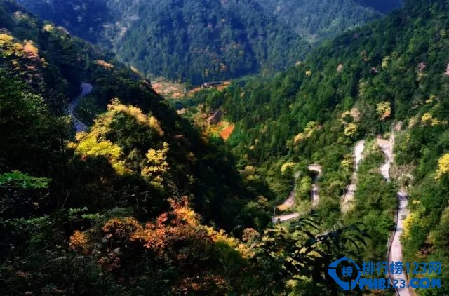 重庆最美公路在哪里？重庆最美的十条公路插图6