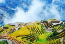 广西十大景点排行榜：龙脊梯田上榜，第一是5A级风景区|爱分享