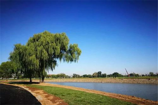 沧州十大公园广场排名:狮城公园上榜,第十有音乐喷泉秀插图7 沧州十大公园广场排名:狮城公园上榜,第十有音乐喷泉秀插图7