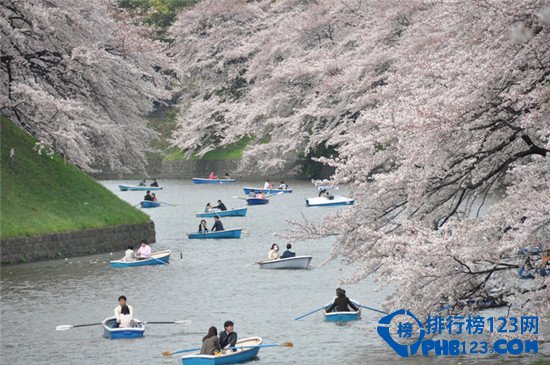 世界十大最美春色排行榜插图8