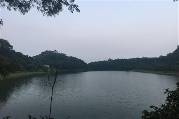 东莞十大公园广场排名:虎门公园上榜，第7大朗镇最大公园插图4