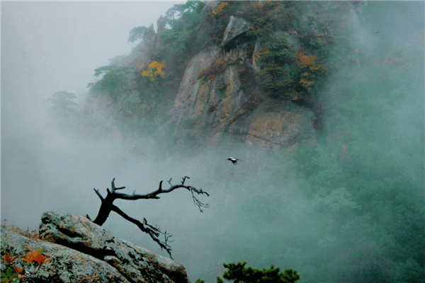 辽宁必玩10大胜地 这些地方都很好玩不去可惜插图