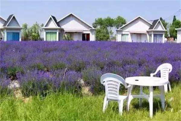 江浙沪度假村排名榜 江浙沪超赞的休闲度假胜地插图8