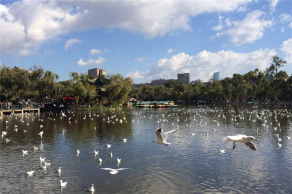 昆明十大美食最多的景点：大观公园上榜，第一有传统美食插图2