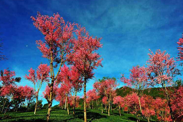 云南十大爬山好去处 大理苍山上榜 第一是我国最难登的山之一插图8
