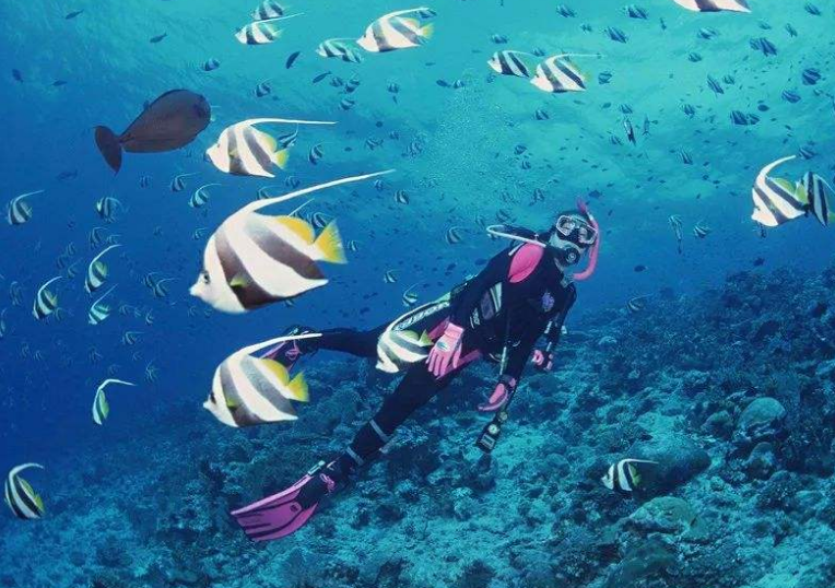 世界十大潜水圣地 伯利兹大蓝洞上榜（全球最深）插图