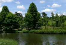 香港最值得去的五个地方 南丫岛与香港迪士尼乐园不能错过|爱分享