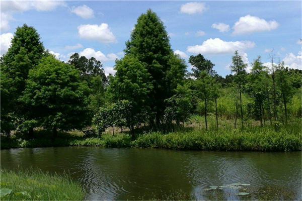 香港最值得去的五个地方 南丫岛与香港迪士尼乐园不能错过插图4