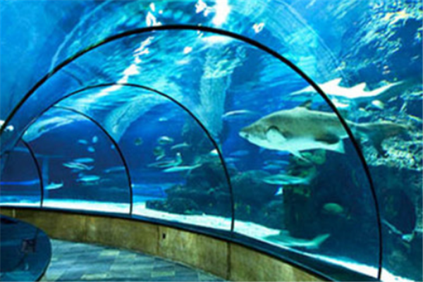 带孩子上海必玩的地方 你带小宝贝去过吗插图1