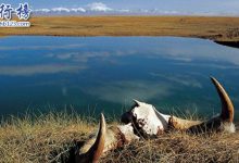 2018国庆去哪玩人少，十一便宜超美景点推荐|爱分享