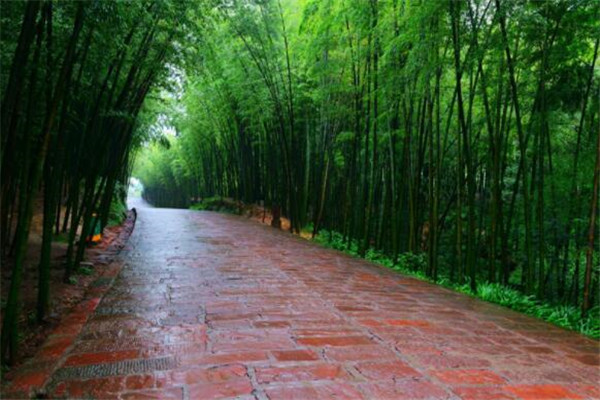 宜昌最好玩的地方推荐 宜昌好玩的地方排行榜插图6