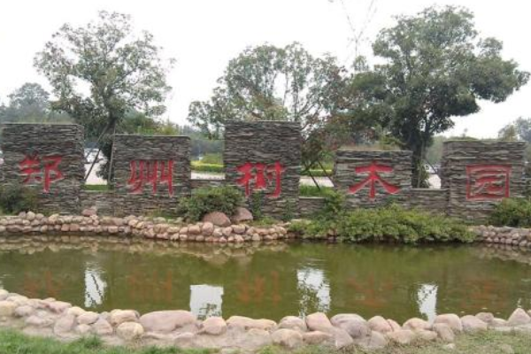 郑州好玩又免费的景点排名 如意湖上榜，科技馆最具教育意义插图5