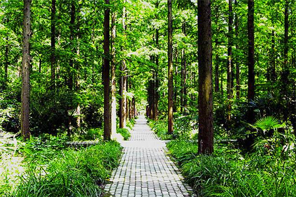 上海十大冬季旅游好去处：豫园上榜，它是动物的美丽家园插图8