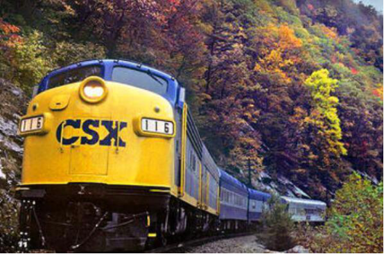 全球十大著名的火车旅行路线 第一路线车票最少都1000美元插图6