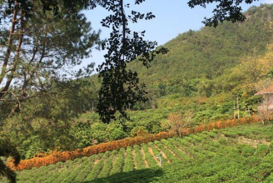 梅州旅游必去十大景点 快去客天下一起去感受客家人情吧插图