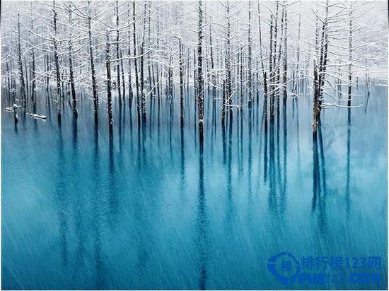 日本10大不可错过的绝景排行榜插图