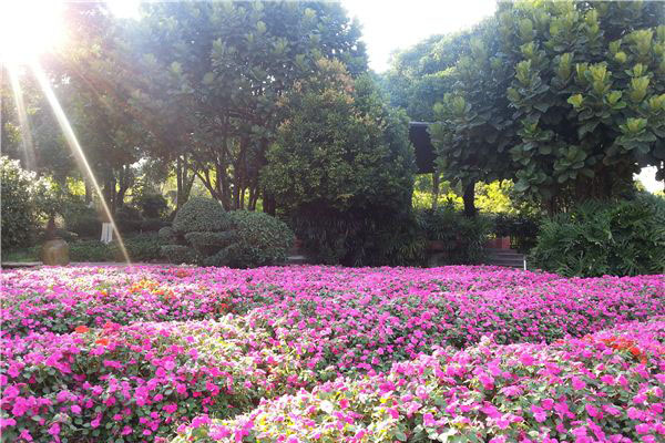 深圳十大农家乐 备受好评的深圳农家乐推荐插图9