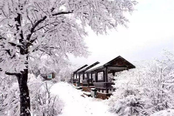 七大穷游雪景景点排行榜：老界岭上榜，它是中原雪乡插图3