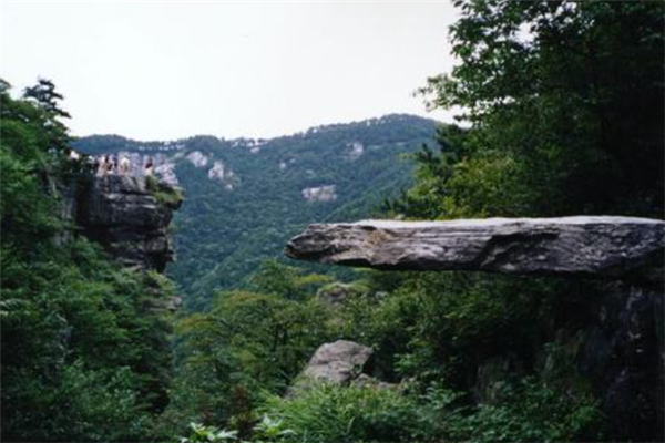 江西庐山市十大最好玩的景点：桃花源上榜，第九有巨大佛像插图5