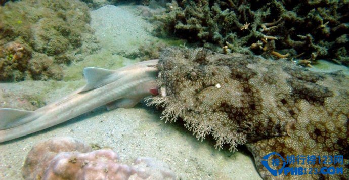 盘点全球即将消失的十大美景插图2