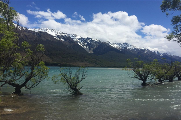 新西兰最具特色的8个小镇 玛塔玛塔小镇是霍比特人的取景地插图2