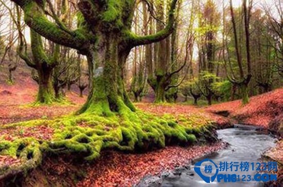 世界十大最美旅游景点 每个人都想去的世外桃源插图3