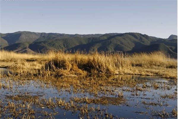贵阳十大最值得去的景点：甲秀楼上榜，第三杜鹃花海插图3