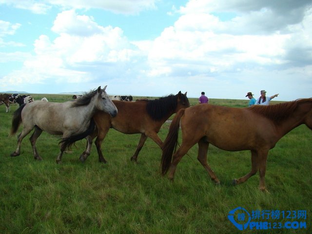 北京周边最美10大草原排行榜插图6